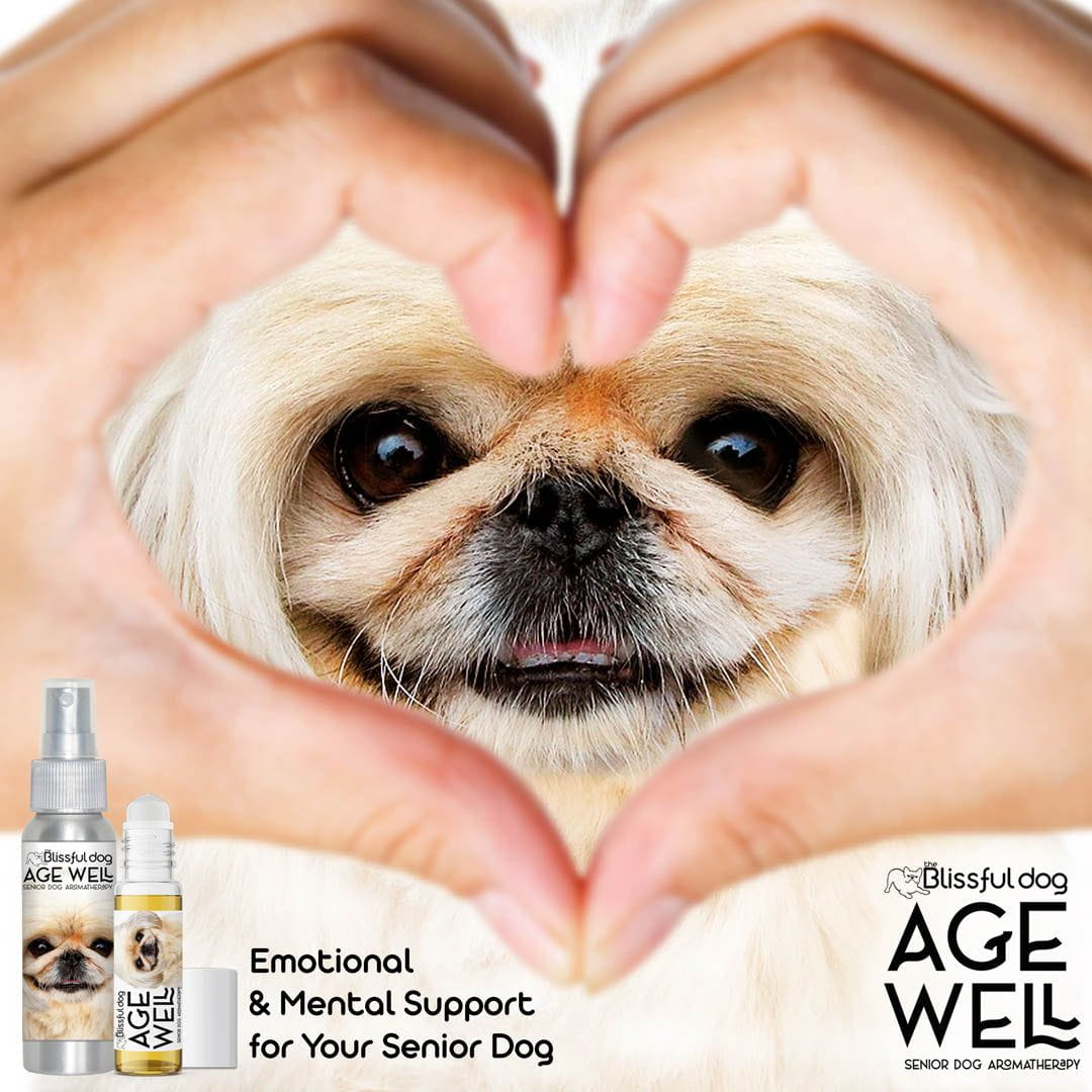 old pekingese